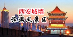 滛妇淫逼毛茸茸中国陕西-西安城墙旅游风景区